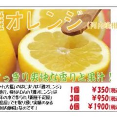 始まりの「みっちゃん大福　灘オレンジ」