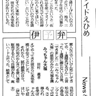 伊予弁「みっちゃん大福」